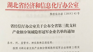 乐鱼网页版-乐鱼(中国)官方
被认定为“湖北省支柱产业细分领域隐形冠军示范企业”